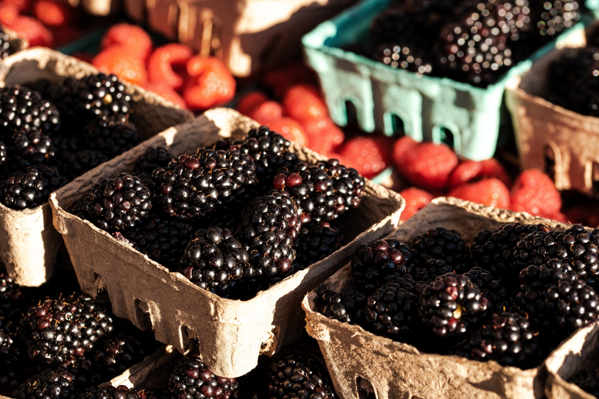 kupine i maline